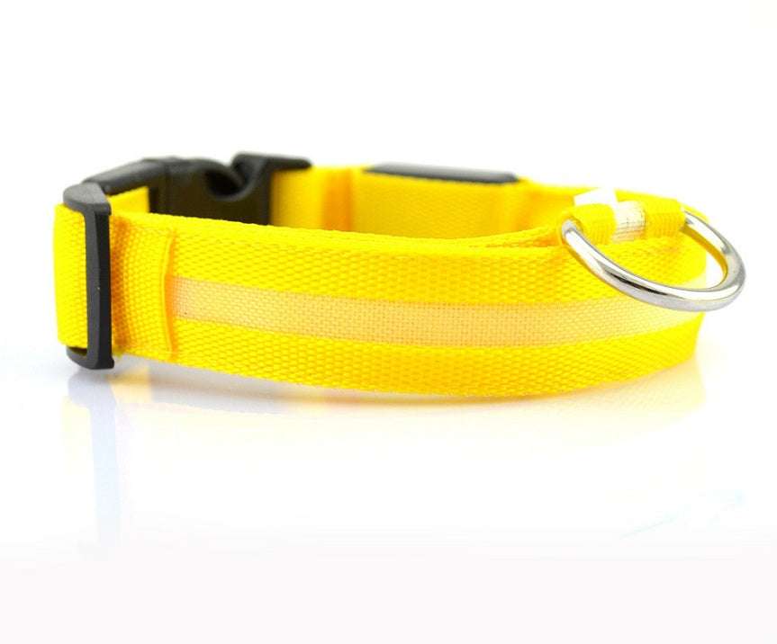 LED Light-Up Dog Collar – Adjustable Reflective Night Safety