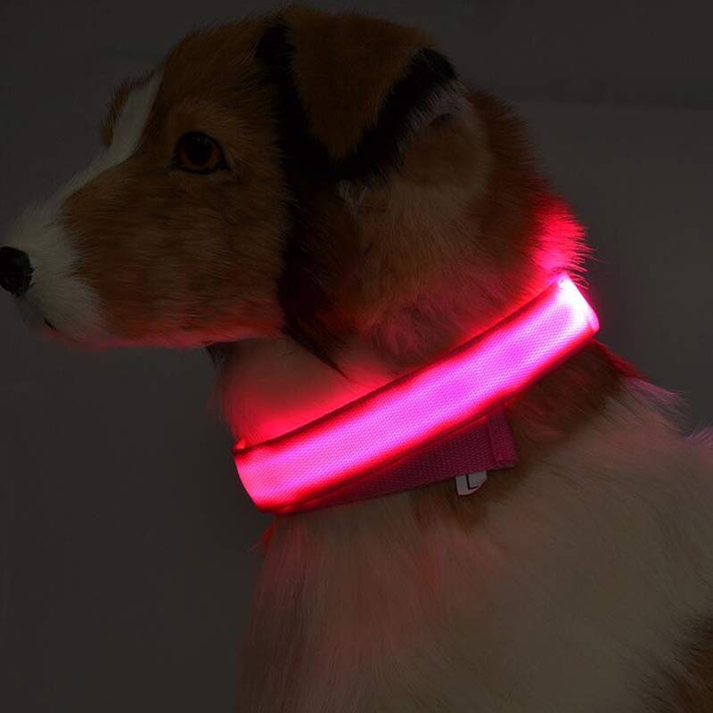LED Light-Up Dog Collar – Adjustable Reflective Night Safety