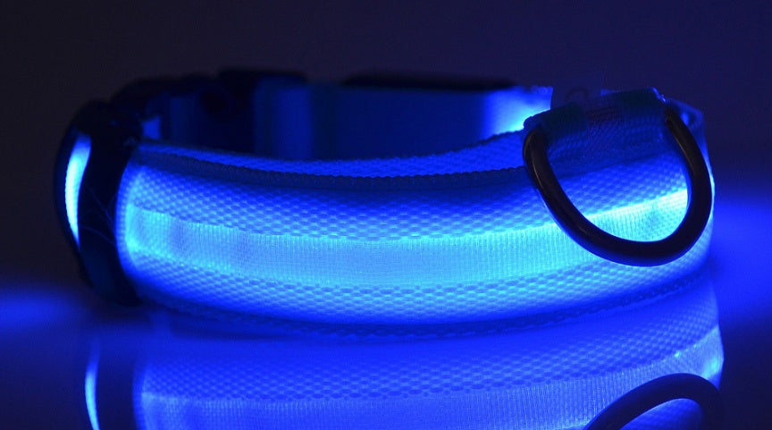 LED Light-Up Dog Collar – Adjustable Reflective Night Safety