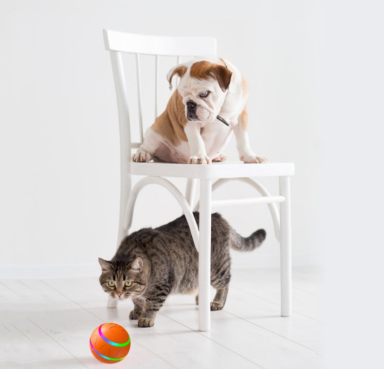 Automatic Cat Wicked Ball Toy – USB Rechargeable Smart Interactive Self Rotating Ball for Cats