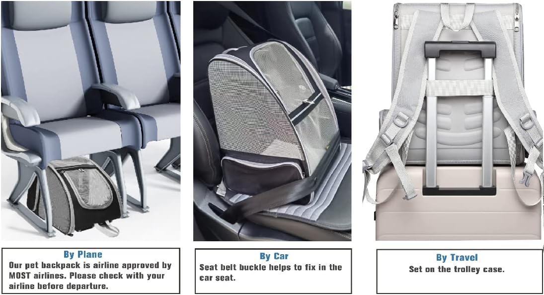 Bubble Pet Backpack Carrier – Breathable Travel Bag for Cats & Dogs