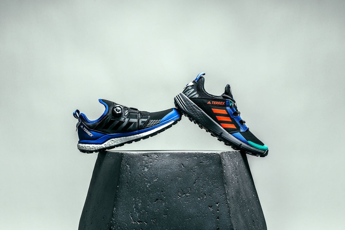 Originals x White Mountaineering Terrex Agravic BOA - Core Black/Collegiate Royal